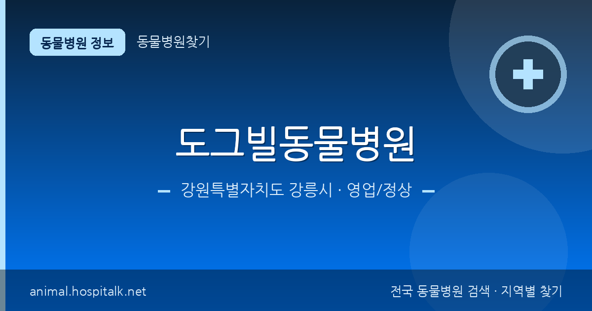 강원특별자치도 강릉시 도그빌동물병원 동물병원 정보